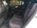 Renault Rafale RAFALE Atelier Alpine Hyper Hybrid E-Tech 4x4 300 Plug-in Weiß - thumbnail 10