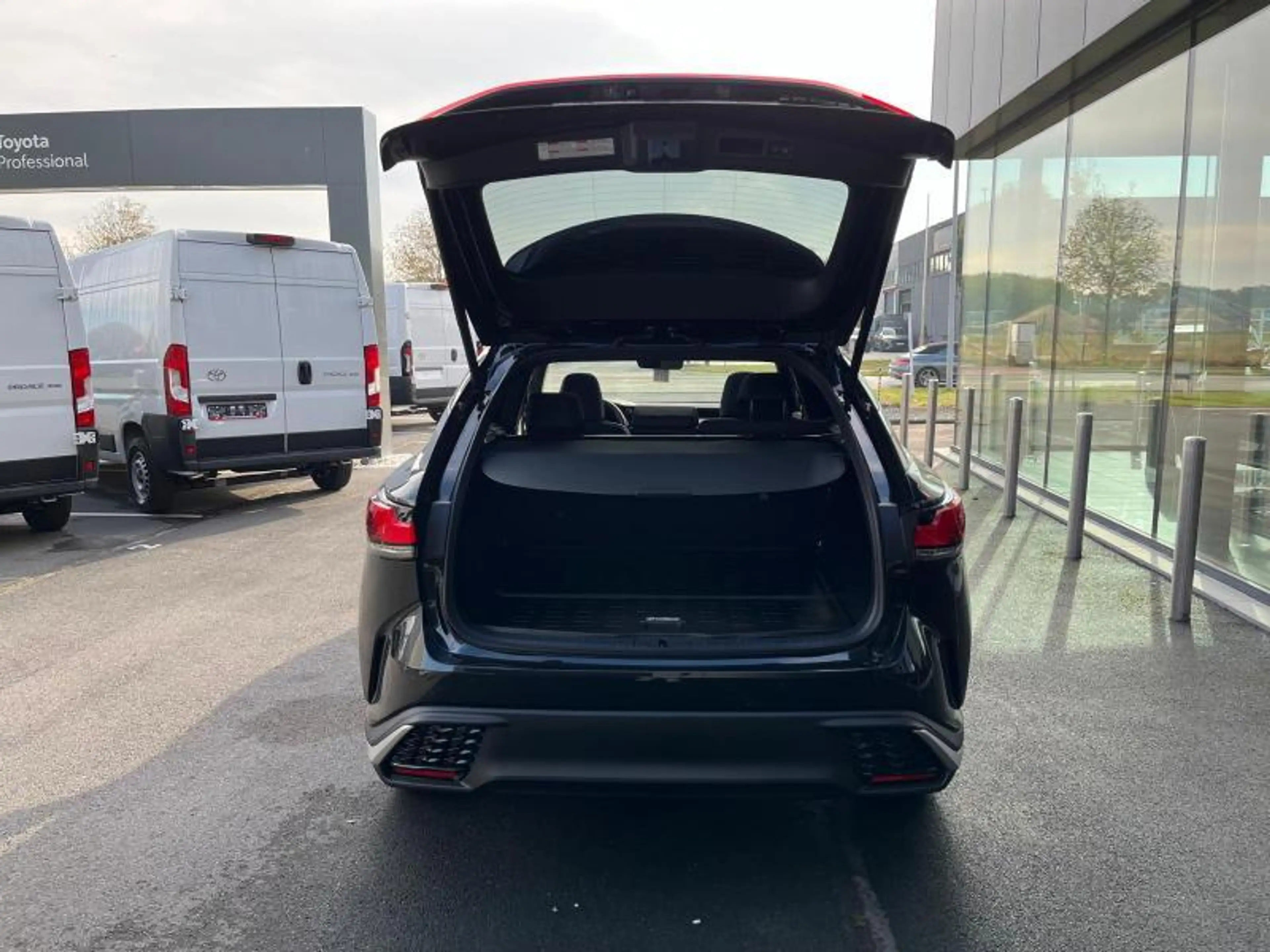 Lexus RX 450h 2.5 HYB AWD F-SPORT PACK — photo 9