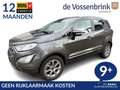 Ford EcoSport 1.0 Titanium *Geen Afl. kosten* Gris - thumbnail 1