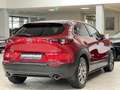 Mazda CX-30 CX-30 MHD Selection*ACC*NAVI*360°*BOSE*4x4*HUD* Rot - thumbnail 3