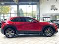 Mazda CX-30 CX-30 MHD Selection*ACC*NAVI*360°*BOSE*4x4*HUD* Rot - thumbnail 2