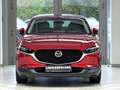 Mazda CX-30 CX-30 MHD Selection*ACC*NAVI*360°*BOSE*4x4*HUD* Rot - thumbnail 8