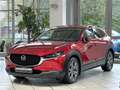 Mazda CX-30 CX-30 MHD Selection*ACC*NAVI*360°*BOSE*4x4*HUD* Rot - thumbnail 7