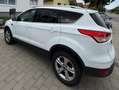 Ford Kuga Kuga 1.6 EcoBoost 2x4 SYNC Weiß - thumbnail 9