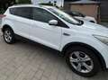 Ford Kuga Kuga 1.6 EcoBoost 2x4 SYNC Weiß - thumbnail 6