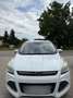 Ford Kuga Kuga 1.6 EcoBoost 2x4 SYNC Weiß - thumbnail 1