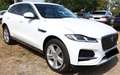 Jaguar F-Pace 2.0 204 CV AWD aut. SE Alb - thumbnail 5