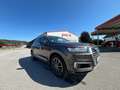 Audi Q7 e-tron hybrid 3,0 TDI quattro Tiptronic Braun - thumbnail 14