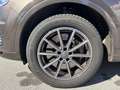 Audi Q7 e-tron hybrid 3,0 TDI quattro Tiptronic Braun - thumbnail 15