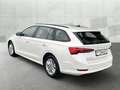 Skoda Octavia Combi 2.0 TDI DSG *LED *ACC *NAVI *LM *SHZ *DAB * Weiß - thumbnail 5