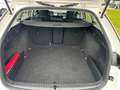 Skoda Octavia Combi 2.0 TDI DSG *LED *ACC *NAVI *LM *SHZ *DAB * Weiß - thumbnail 15