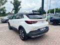 Opel Grandland Grandland X 1.6 diesel Ecotec Start&Stop Innovati Bianco - thumbnail 10