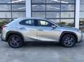 Lexus UX 250h Business Navigation 2WD Beige - thumbnail 14