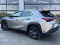 Lexus UX 250h Business Navigation 2WD Beige - thumbnail 3