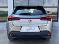 Lexus UX 250h Business Navigation 2WD Beige - thumbnail 13