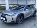 Lexus UX 250h Business Navigation 2WD Beige - thumbnail 2