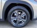 Lexus UX 250h Business Navigation 2WD Beige - thumbnail 46