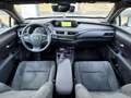 Lexus UX 250h Business Navigation 2WD Beige - thumbnail 9