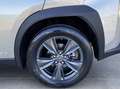 Lexus UX 250h Business Navigation 2WD Beige - thumbnail 44
