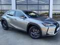 Lexus UX 250h Business Navigation 2WD Beige - thumbnail 5