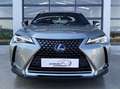 Lexus UX 250h Business Navigation 2WD Beige - thumbnail 6