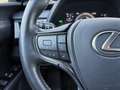 Lexus UX 250h Business Navigation 2WD Beige - thumbnail 32