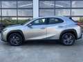 Lexus UX 250h Business Navigation 2WD Beige - thumbnail 12