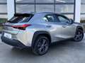 Lexus UX 250h Business Navigation 2WD Beige - thumbnail 4