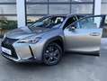 Lexus UX 250h Business Navigation 2WD Beige - thumbnail 17