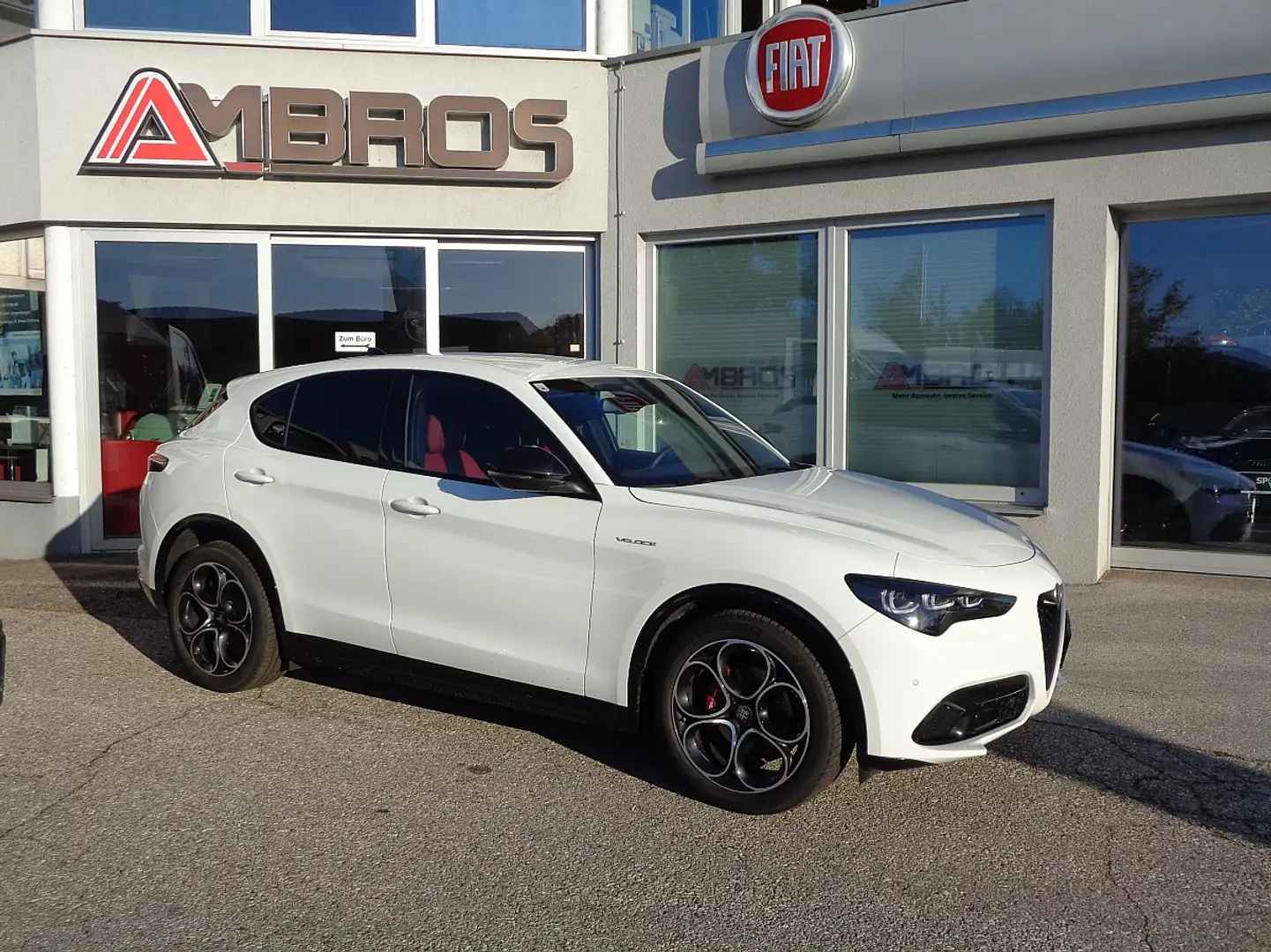 Alfa Romeo Stelvio Veloce 2,2 16V 160 AT8 Q2 Diesel Weiß - 1