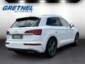 Audi SQ5 basis 3.0 TDI quattro EU6d StandHZG AHK-klappbar N Weiß - thumbnail 5