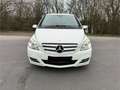 Mercedes-Benz B 200 B 200 CDI Autotronic Beyaz - thumbnail 8