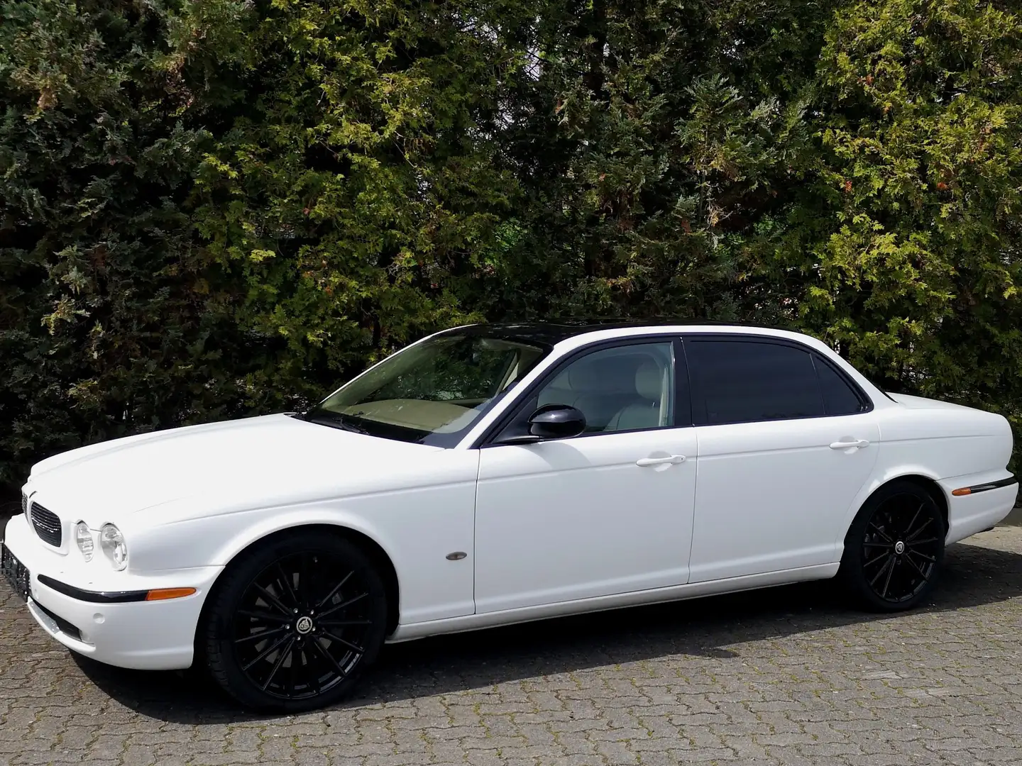 Jaguar XJR Super V8 Weiß - 1