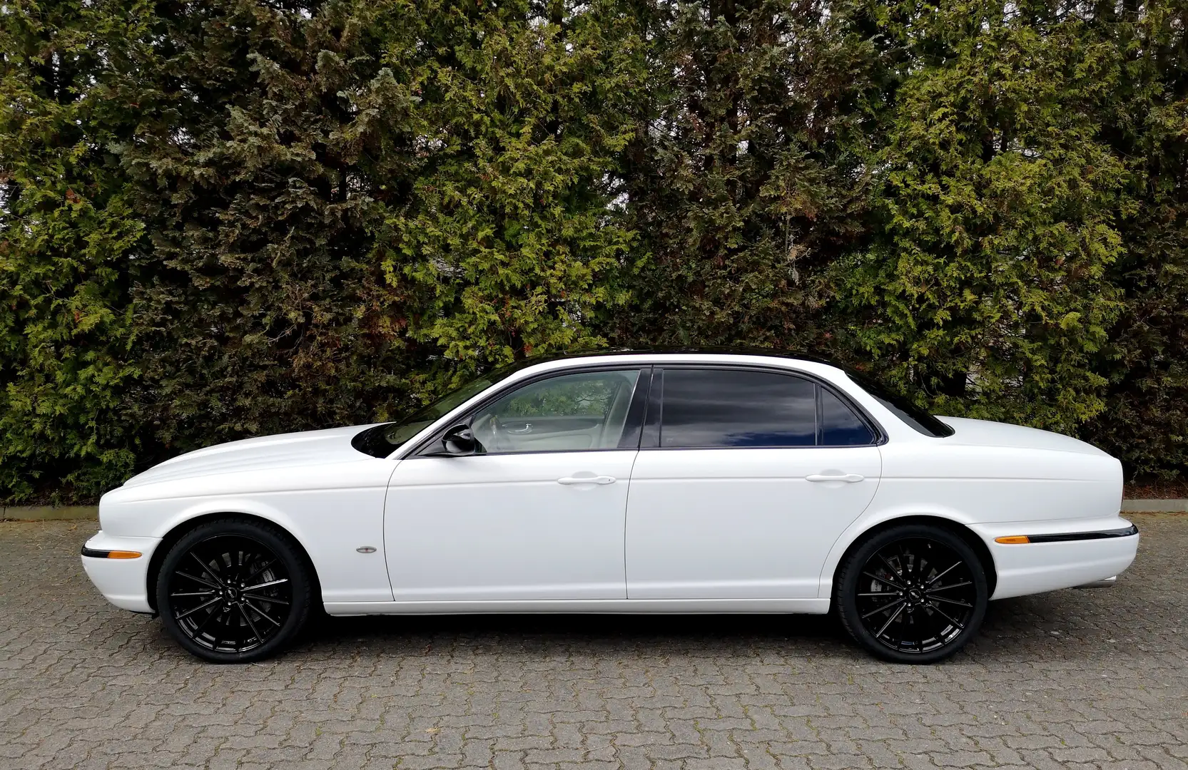 Jaguar XJR Super V8 Weiß - 2