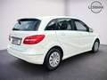 Mercedes-Benz B 160 d | Sitzheizung | Parkpaket | 1.Besitz Blanc - thumbnail 4