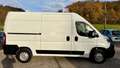 Fiat Ducato 130 L2H2 Navi Kamera AHK Klima Tüv neu Weiß - thumbnail 4