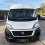 Fiat Ducato 130 L2H2 Navi Kamera AHK Klima Tüv neu Weiß - thumbnail 2