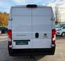 Fiat Ducato 130 L2H2 Navi Kamera AHK Klima Tüv neu Weiß - thumbnail 6