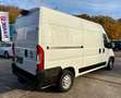 Fiat Ducato 130 L2H2 Navi Kamera AHK Klima Tüv neu Weiß - thumbnail 5