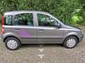 Fiat Panda 169, viel erneuert, gepflegt, Rentner-Kfz Grau - thumbnail 3