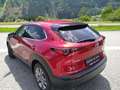 Mazda CX-30 G140 EXCLUSIVE-LINE Rot - thumbnail 3