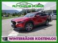 Mazda CX-30 G140 EXCLUSIVE-LINE Rot - thumbnail 1