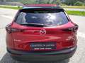 Mazda CX-30 G140 EXCLUSIVE-LINE Rot - thumbnail 4