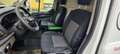 Ford Transit Transit Variobus 2,0 TDCI L2H2 350 Ambiente Ambiente Weiß - thumbnail 1