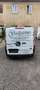 Ford Transit Transit Variobus 2,0 TDCI L2H2 350 Ambiente Ambiente Weiß - thumbnail 22