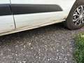 Ford Transit Transit Variobus 2,0 TDCI L2H2 350 Ambiente Ambiente Weiß - thumbnail 14