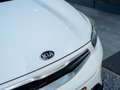 Kia Stonic 1.0 T-GDi Sports Edition / Camera / Navi / Carplay Blanc - thumbnail 3