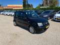 Fiat Panda Panda 1.3 mjt 16v Dynamic Noir - thumbnail 2