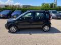 Fiat Panda Panda 1.3 mjt 16v Dynamic Noir - thumbnail 24