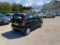 Fiat Panda Panda 1.3 mjt 16v Dynamic Noir - thumbnail 5